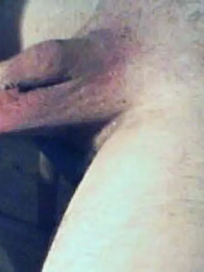 tiny dick torture homework