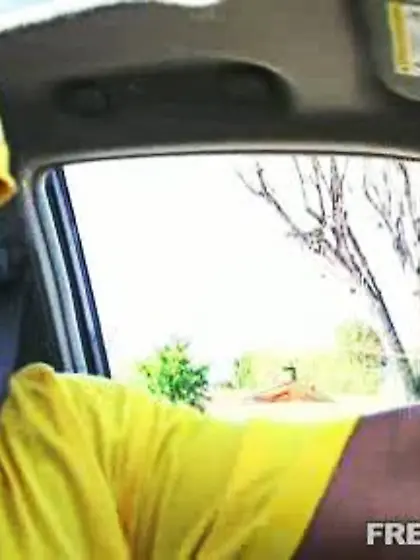 Enormous ebony cocks put