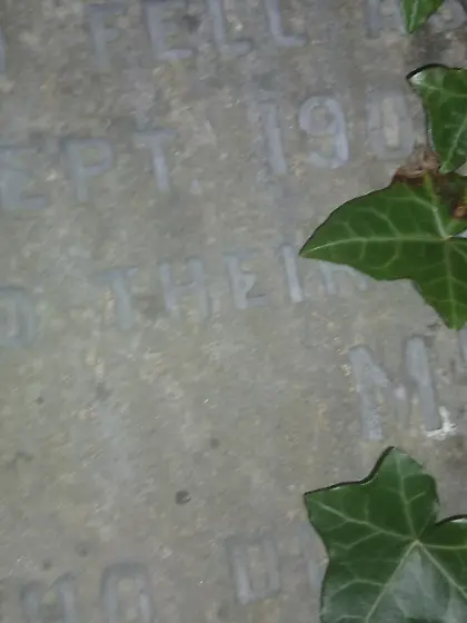 Abusing myself i graveyard. pee. brush and mastii