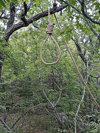 We Hang guests during sex,  or they Hang us!