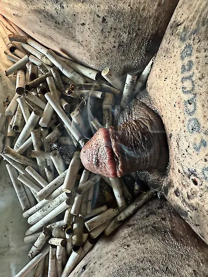 Sissy’s weekly ashtray play,  sissy can’t get i