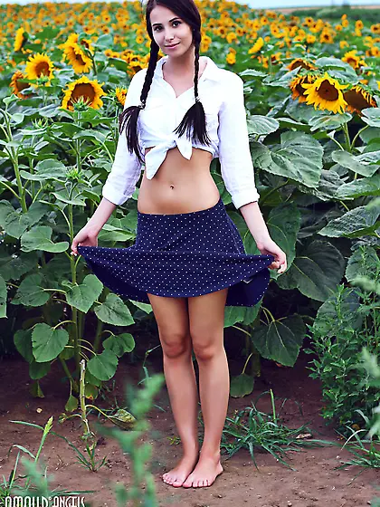 Sexpot finds a spacious sunflower field and strips naked under t
