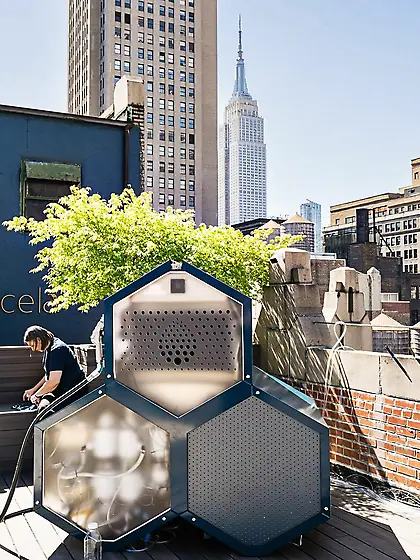 Air to Gasoline = FIRE