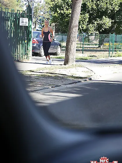 Good news,  cat fight