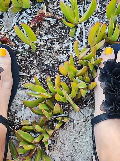Wife beach feet