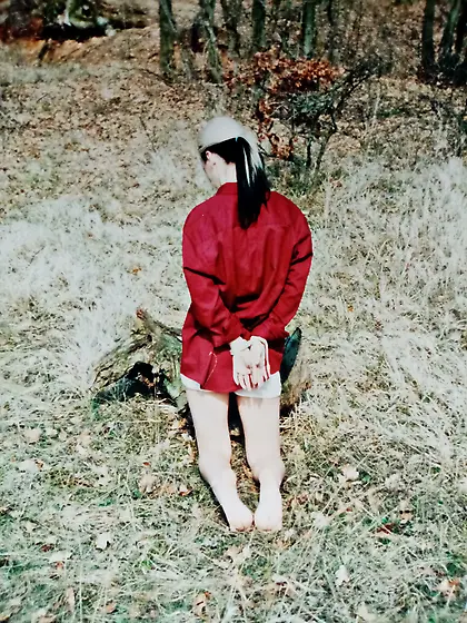 Execution in the forest