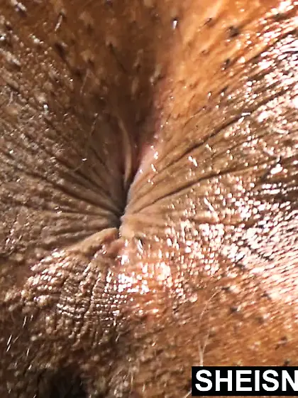 4K Everything 3! Squirt Pussy Asshole Fetish Ebony Booty BBC