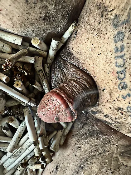 Sissy’s weekly ashtray- sissy couldn’t cum!