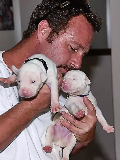 Beautiful black haired milf Mindy Vix in tiny pink thong gets he