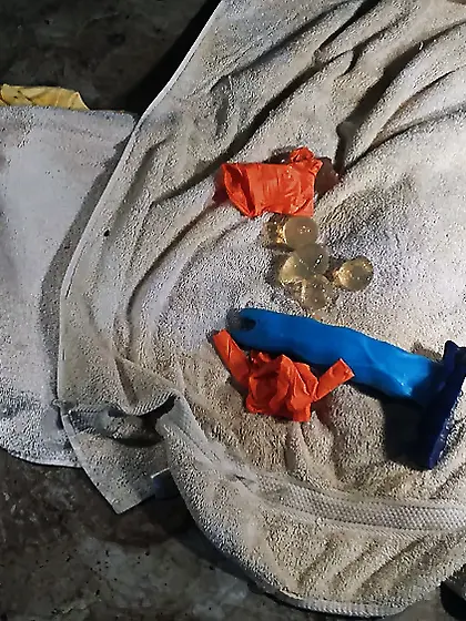 BHS: Egg Implantation Oviposition