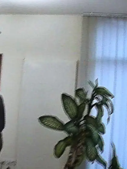 Flexible chicks ready super