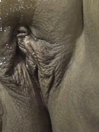 First i do it myself...