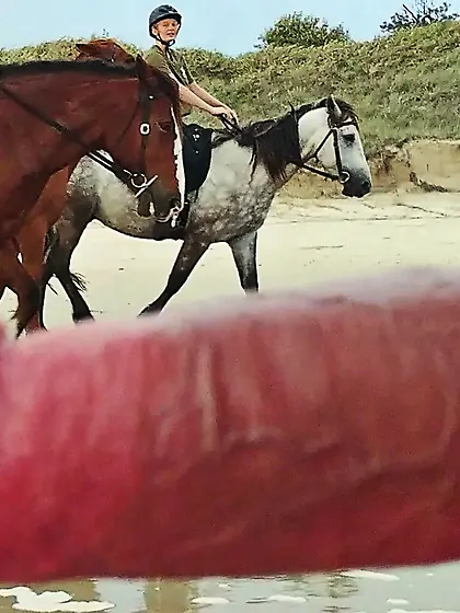 Public erection flasher CFNM beach exhib 4 ladies