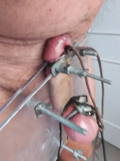 squash cock flat with electric cbt