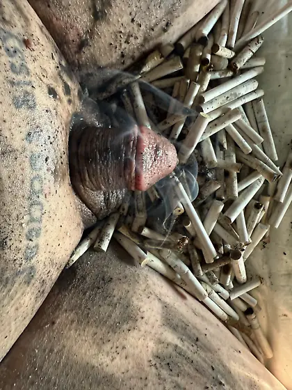 Sissy’s weekly ashtray play,  sissy can’t get i