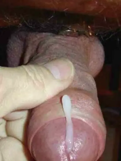 Meine benutzen Schlampen