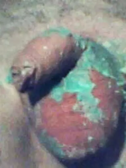 tiny dick torture homework