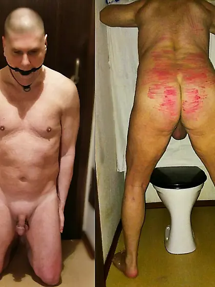 hairy bdsm scat feeder male pain slave humiliation