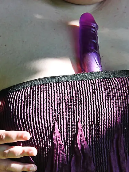 Die Parkbank - The Park Bench II