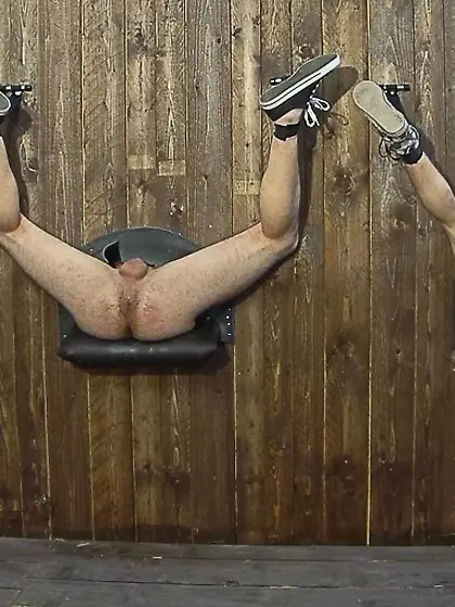 Gay asses sticking glory