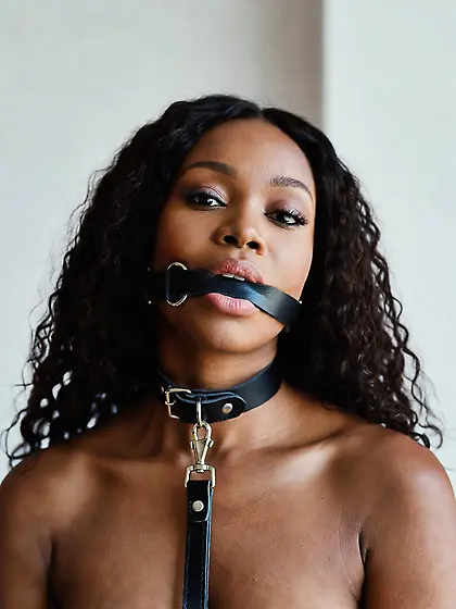 silenced and leashed are the best niggers