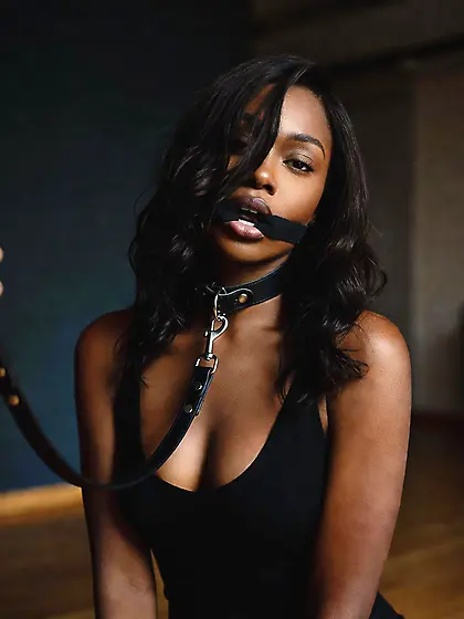 silenced and leashed are the best niggers