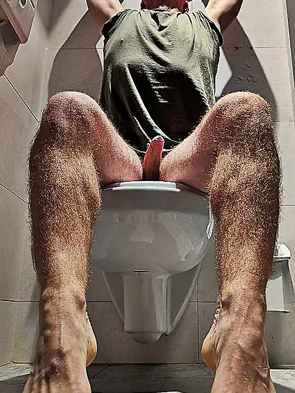 Andy Gymnast toilet rest stop lust 39