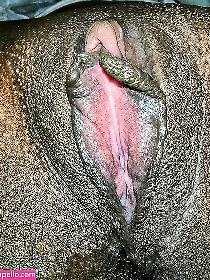 Buceta negra gostosa