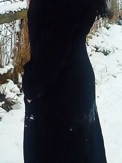 A walk in snow 2010 -1 Gallery