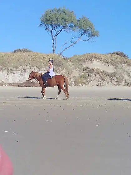 Public erection beach flasher CFNM for horseriders