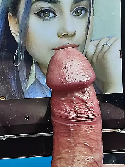 Cock Tribute