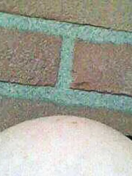 Dutch ex wife girlfriend nude non nude