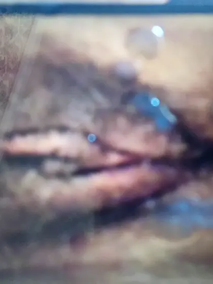 Que alternes su vagina con mi bocaQuiero lamer su