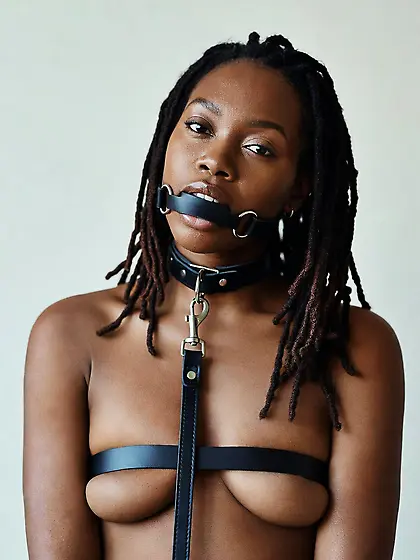 silenced and leashed are the best niggers