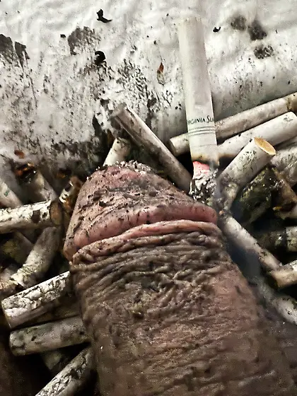 Submissive sissy faggot ashtray and toilet.