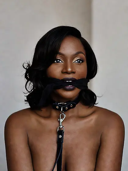 silenced and leashed are the best niggers