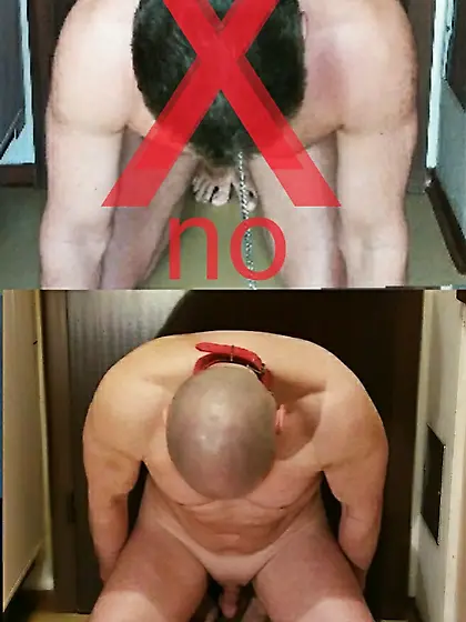 shaved head,  public humiliation,  piss for faggots