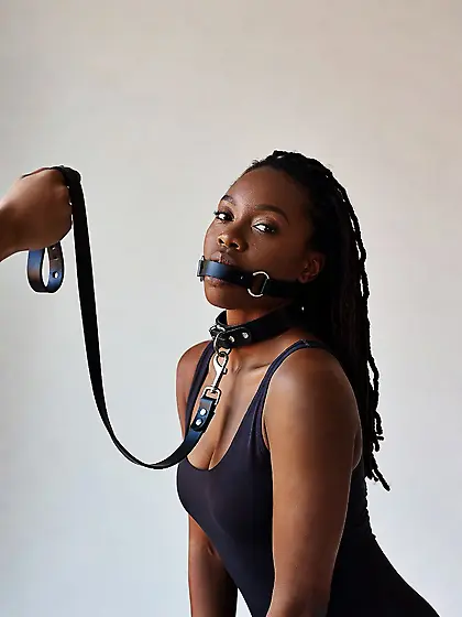 silenced and leashed are the best niggers