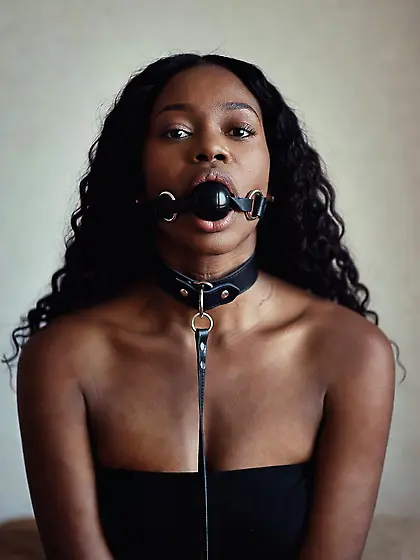 silenced and leashed are the best niggers