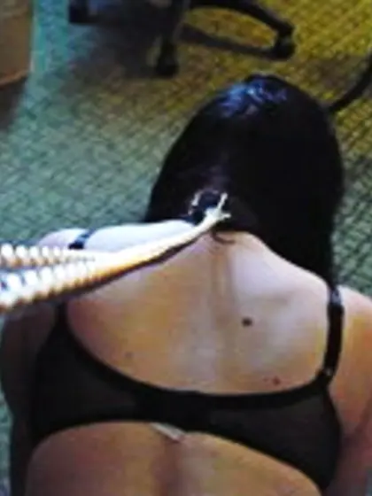 How Mommy likes her kittens