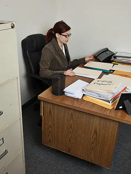 Hard working secretary Bree Daniels gets really dirty in the bed