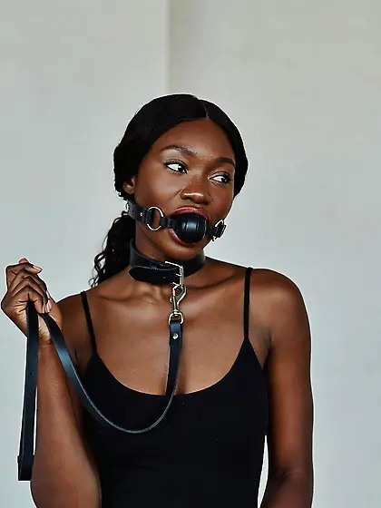 silenced and leashed are the best niggers