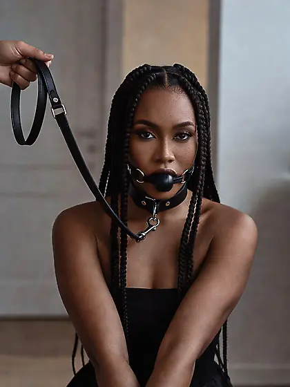 silenced and leashed are the best niggers