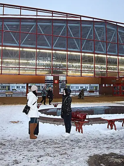 Linda O, Nicoletta H, Betty K and Lilly P pics