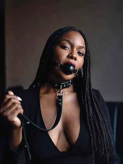 silenced and leashed are the best niggers