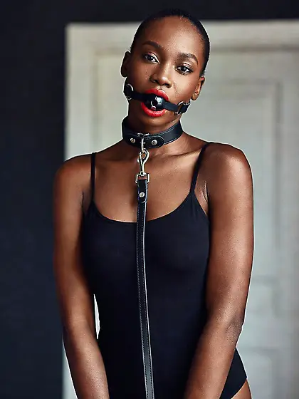 silenced and leashed are the best niggers