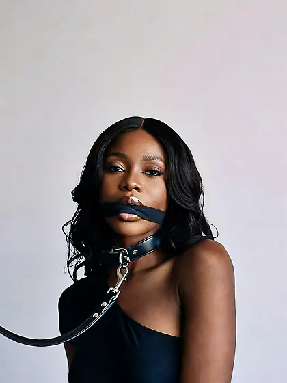 silenced and leashed are the best niggers