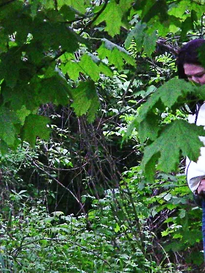 Shy black haired teen