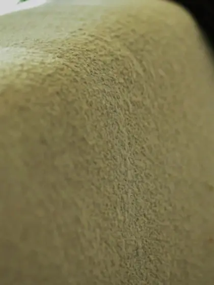 Eyelides drawn shut sheer