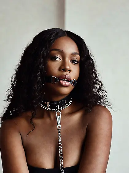 silenced and leashed are the best niggers